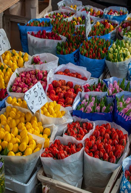 An outdoor display of multiple large bouquets of fresh tulips arranged in white and blue paper wrappings, featuring vibrant colors including yellow, pink, red, orange, purple, and green. The tulips ar